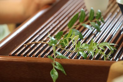 ΢ͼƬ_20240731201249