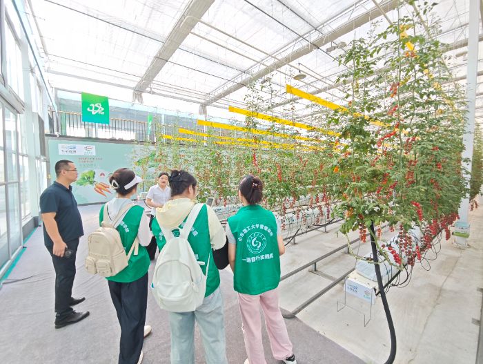 ɽѧ磺̽ѰٹũҵƼǻֲ