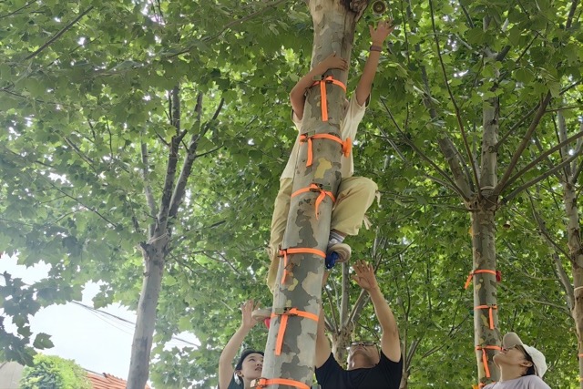 ﷫³̣Ԣֹɳ ɽѧ﷫̶֧ӿ֧֮