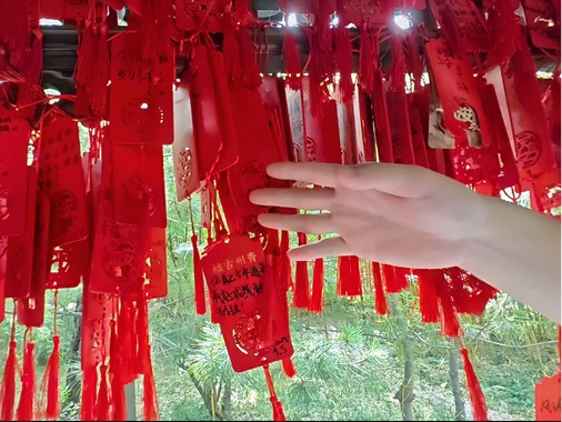 ׽ż԰ʫ֡Ӱ׷Ѱɽ» ɽʵż԰ɽʵԲ