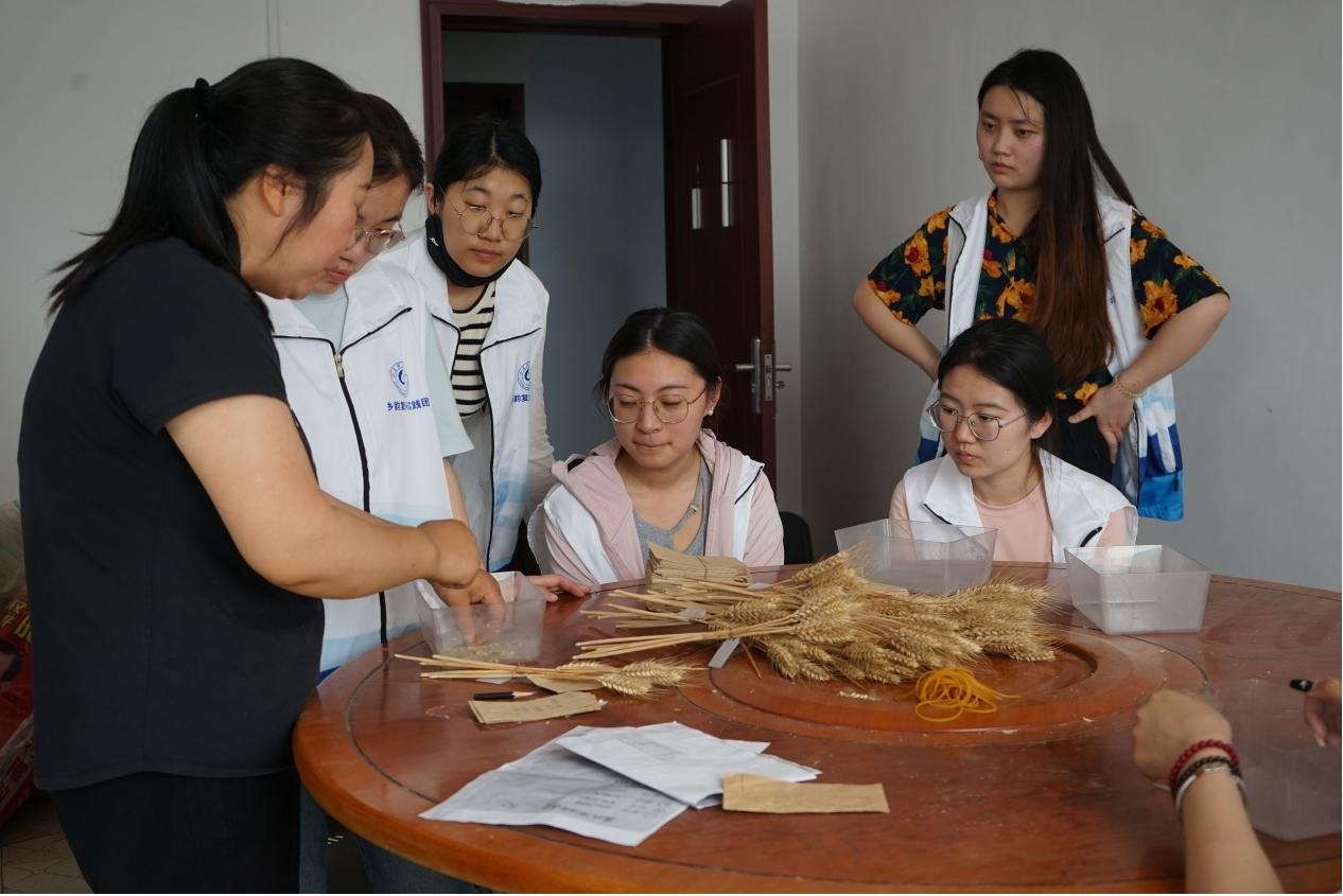 ɽѧ磺ǻ̬ũҵˣתǿ