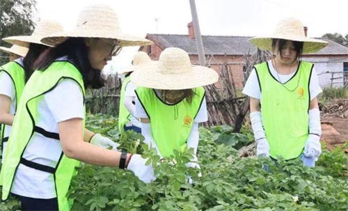 ʦѧѧԺչũͶ֮ɫ