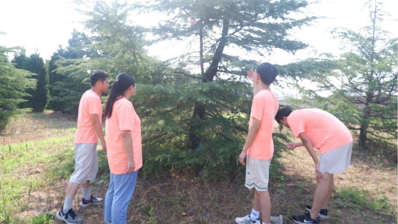 ɽѧ"âж"ʵ:̩ѩɻأ˷չ