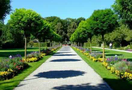 2019԰ּרҵô_ѧʲô_ǰ