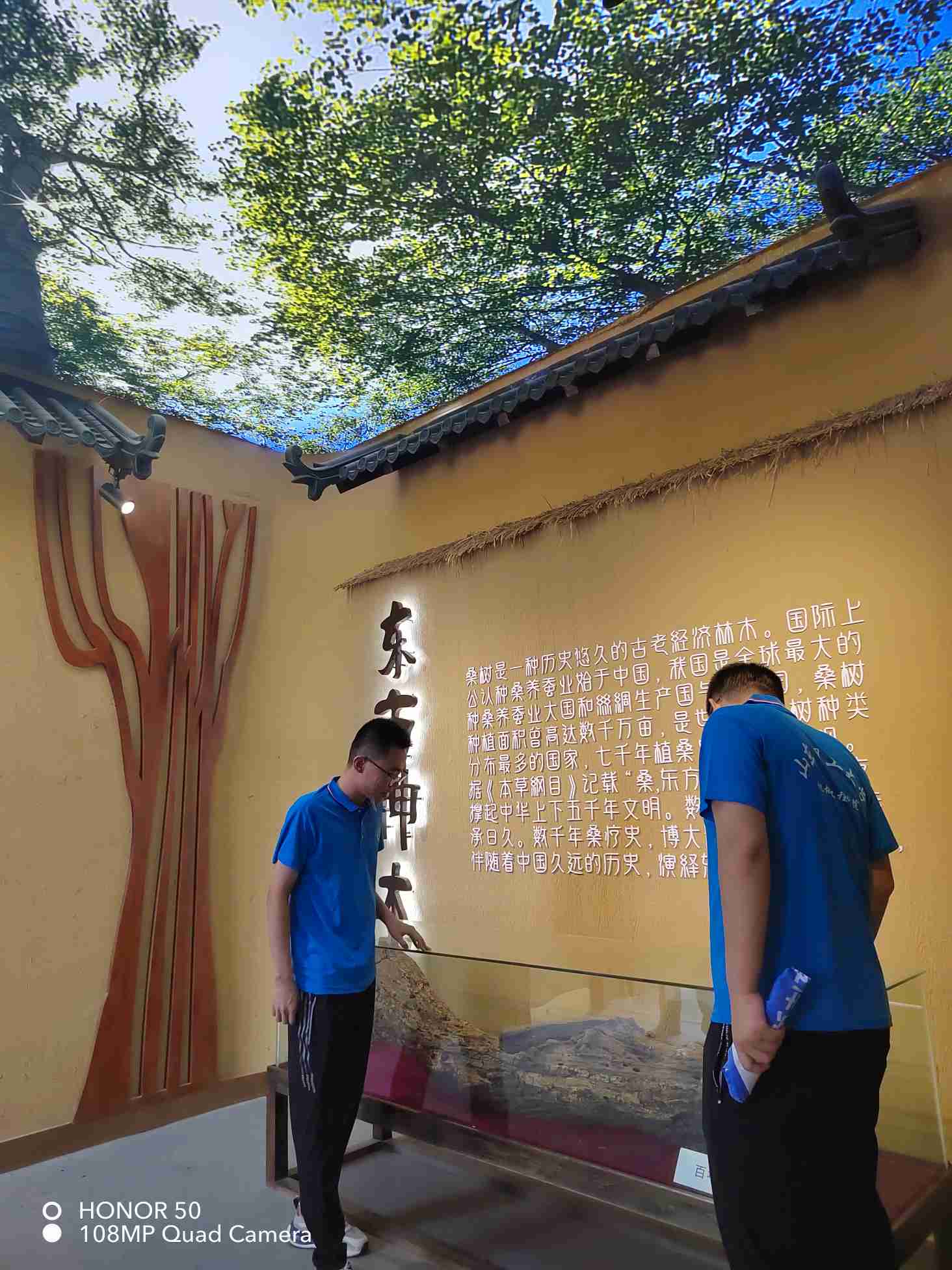 ɣĻɡ롮驡ͬУҵСʵŸĽعɣũĻչʾݲιѧϰ