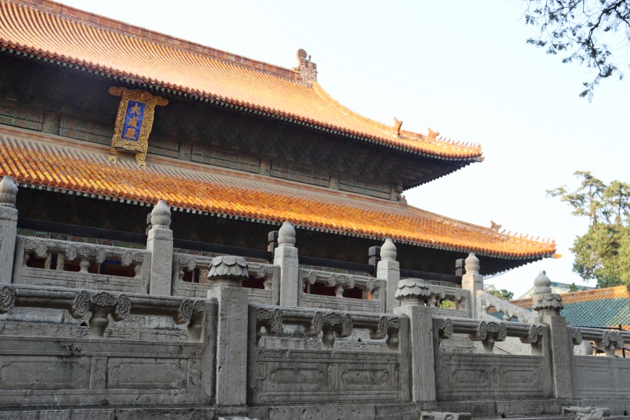 ׷Ѱʥ㼣ൺѧ̽³Ļġ»