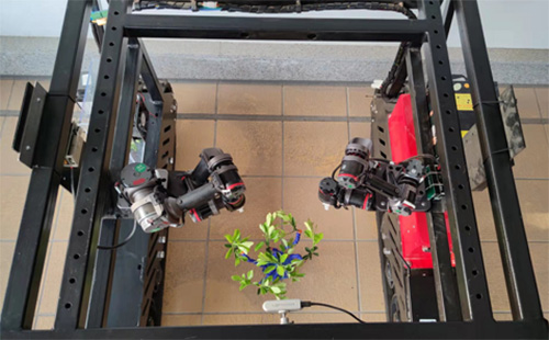 ǡݡ衰ԴŶӶЭͬ˲ɲ