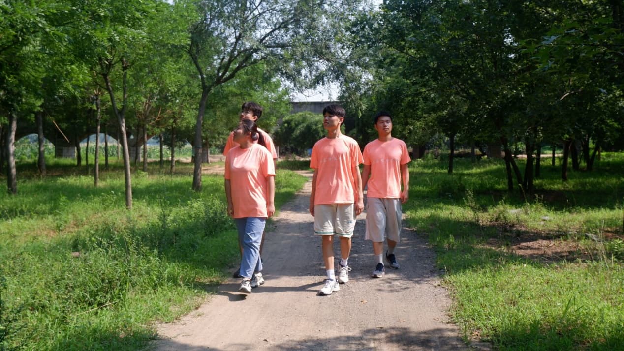 ɽѧʵţ̻裬ƽ巢չ