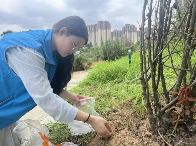 ʦѧѧѧԺС࣬ɭС̡֮캽̬ʵſչϵл̬ƿ