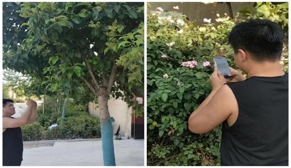 й̡̽|վڼĽֵԣ̻Ķ˻̡̽ʵſչ֮ɽʡ̩жƽء