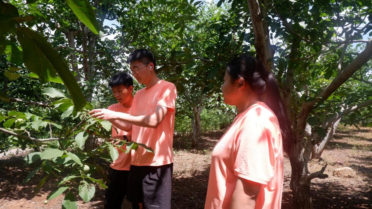 ɽѧâжʵ:˽ũٽֲ