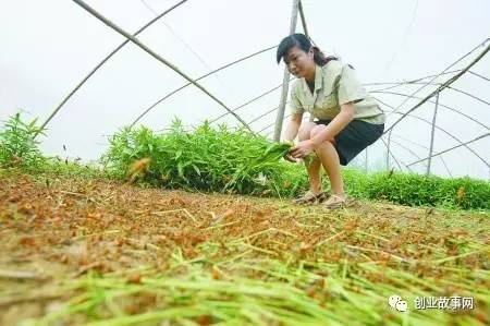 Ůѧٻȳٻƽ ÿ360ֻ