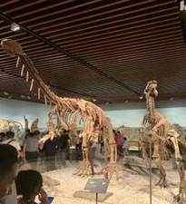 ѧ磺һשһ߽Թ£һһľܹ