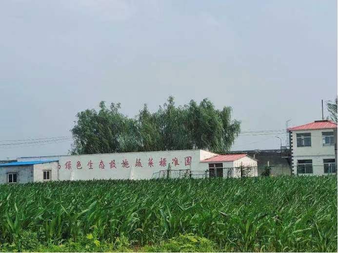  ̽ɫ߲л԰ƼȻгִũҵ䷶