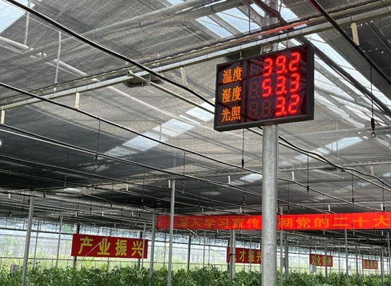 󡰳ΡСӷƽǻũҵ--̽ƽ