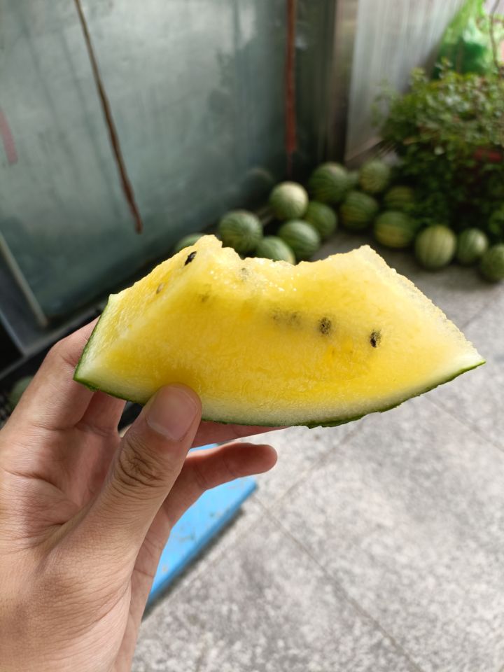 ɹŷɳɳʵӣ߽񱴣ʵص