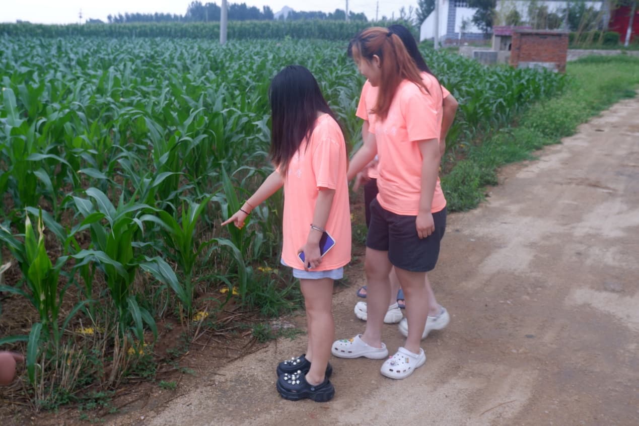 ɽѧâжʵţũﲡ棬ׯ