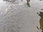 ɽѧδŸͲвɽٻˮֳչ