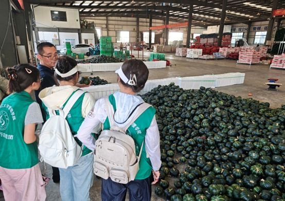 ɽѧٹС̽Ѱũŷչ·