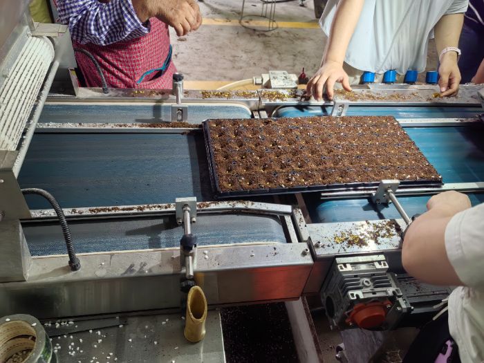 ɽѧ磺ọ̈̄̽ѰִũҵԴͷƼ