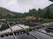 ɽѧδŸͲʹ̫Դˮֳչ