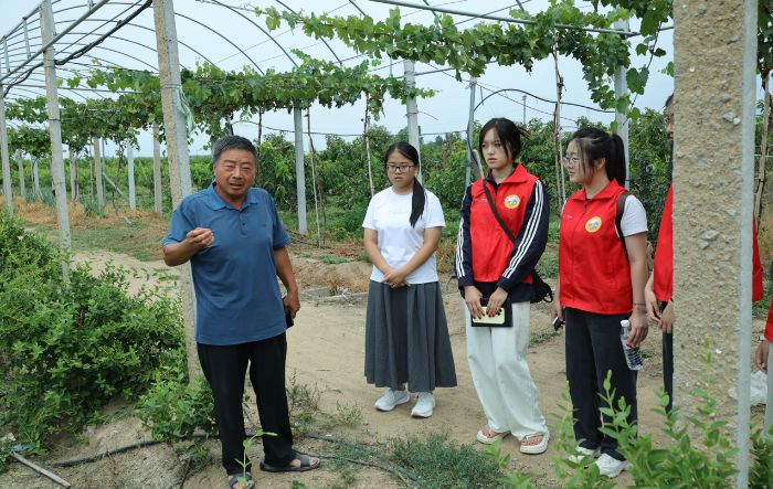 ɽѧѧԺѭɡʵŸƽؿ̫忪չʵ