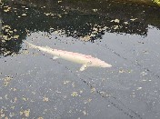 ɽѧδŸͲʹ̫Ӻֳչʵص