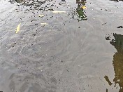 ɽѧδ ͲвɽȪרҵ翪չ